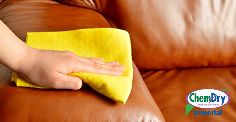 Protect Your Carpets and Upholstery with Expert Services