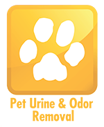 Area rug Cleaning Service Icon