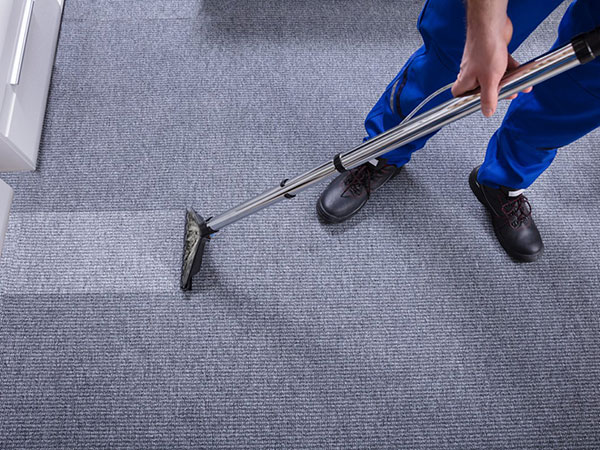 When Should You Hire a Professional for Carpet Cleaning?