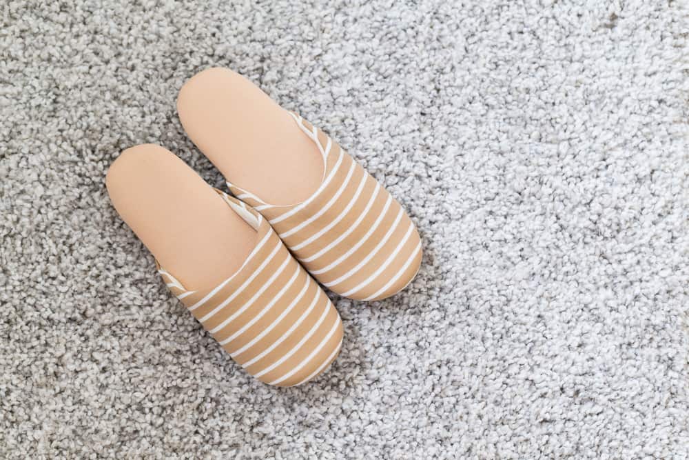 The Advantages of Carpet Cleaning in the Winter
