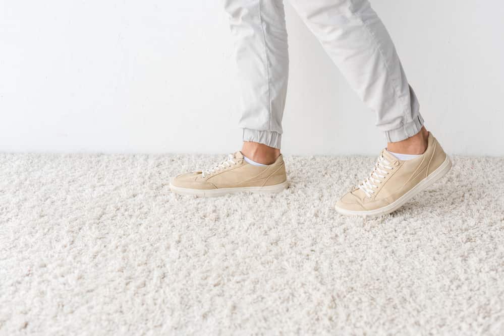 Chem-Dry vs. Steam Carpet Cleaning – Which Is Best?