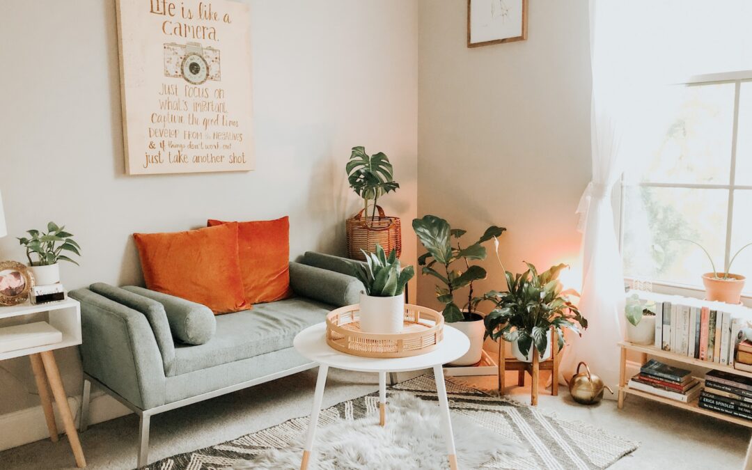 How Regular Carpet Cleaning Contributes to a Healthier Home