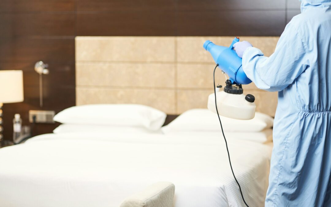 Conquer Allergens in Your Home with Chem-Dry Imperial: Expert Carpet, Rug, Upholstery, and Mattress Cleaning