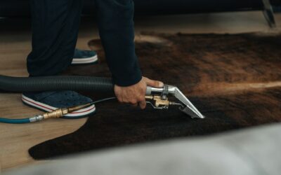 Transform Your Living Space with Expert Area Rug Cleaning Services