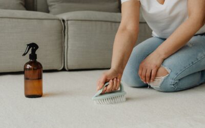 How Professional Carpet Cleaning Can Save You Money